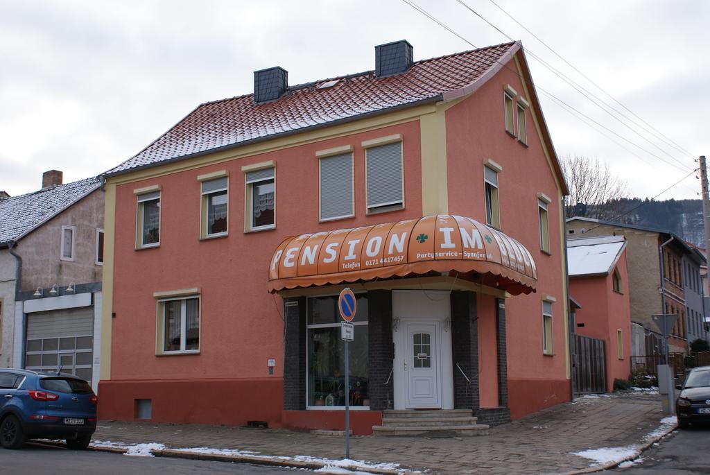 Pension Im Glueck Thale Extérieur photo