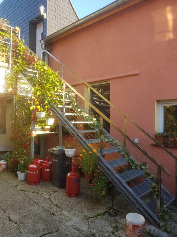 Pension Im Glueck Thale Extérieur photo